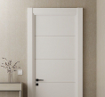 PANEL DOORS __1